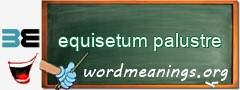 WordMeaning blackboard for equisetum palustre